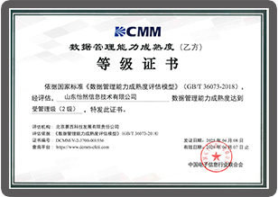 数据管理能力成熟度（DCMM）